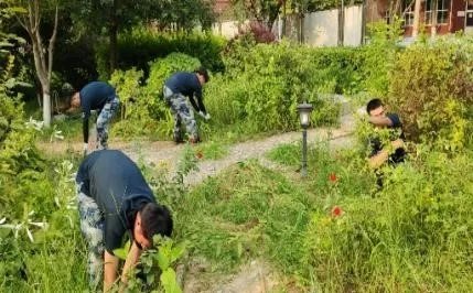 在勞動中把小我融入大我 ——用青春建設美麗校園