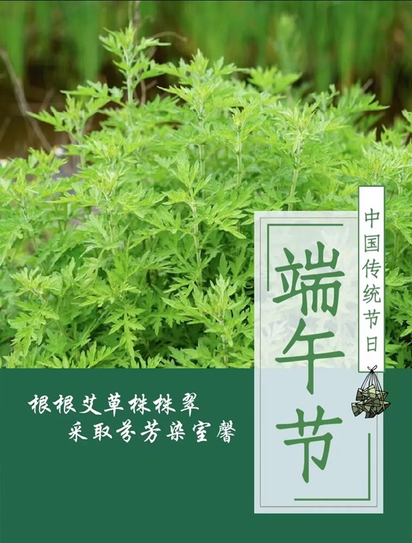 保定理工學(xué)院||管理學(xué)院||端午送福利 關(guān)懷沁人心——我院為教職工發(fā)放端午節(jié)禮品