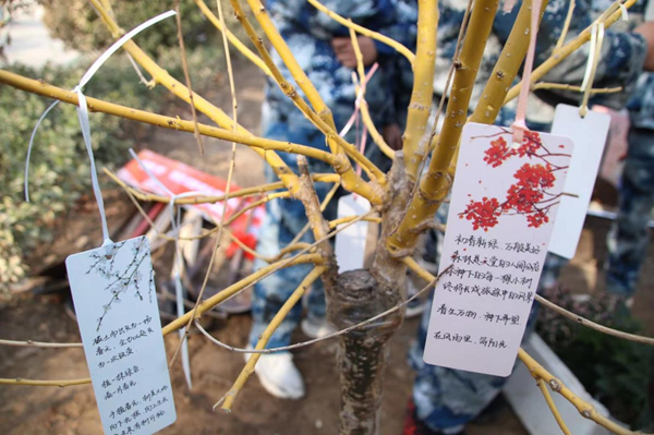 植樹節(jié)|管理學院|手植一抹綠，心栽一片林