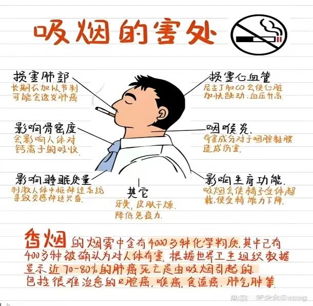 創(chuàng)建無煙校園，共享健康藍天