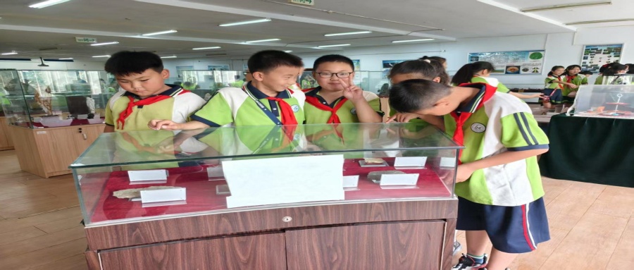 保定市蓮池區(qū)西馬池小學(xué)200名學(xué)生走進(jìn)我校地質(zhì)館開展新時(shí)代文明實(shí)踐活動