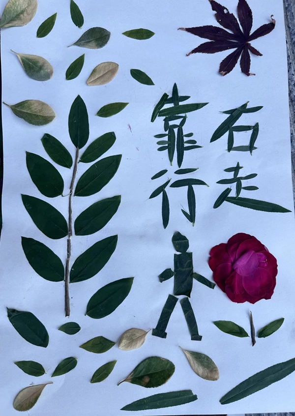 體驗(yàn)式教育|保定理工學(xué)院|管理學(xué)院|創(chuàng)意勞動(dòng)課助力無煙校園與文明出行建設(shè)